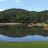 世界遺産の美しい浄土庭園