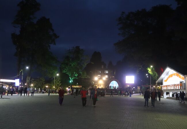 チョウラースター