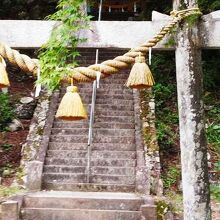 モネの池の隣の神社