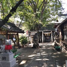 浅間神社境内は雰囲気満点。