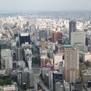 名古屋一の高層ビルで、展望を楽しみながら空中散歩　