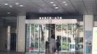 久しぶりに都庁へ