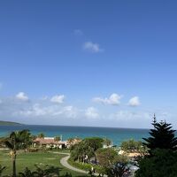 部屋からの景色です