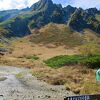 周辺は高山植物がいっぱい