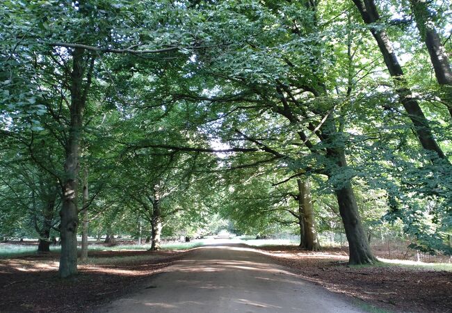 シェラン島北部のパル・フォルス式狩猟の景観
