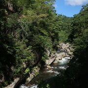 夏でも意外と涼しかったです