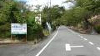 観光案内所 売店 さくら路