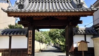 世界遺産に囲まれた穴場的存在，庭園をゆっくり観賞できます