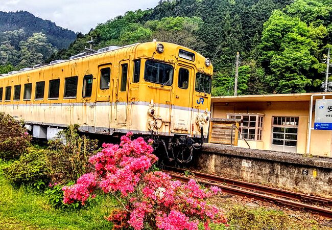 安野 花の駅公園