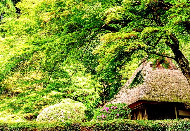 吉水園 クチコミ・アクセス・営業時間｜三段峡・安芸太田・北