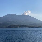 鹿児島のシンボル