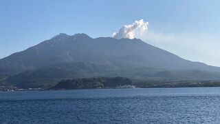 鹿児島のシンボル