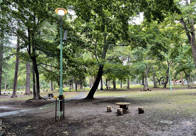 非常に自然豊か