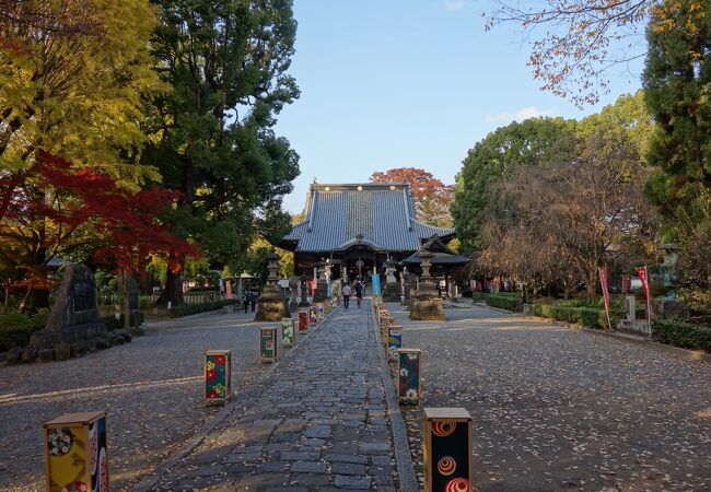 紅葉を楽しむ事が出来る足利氏の城館跡に建てられた国宝寺院