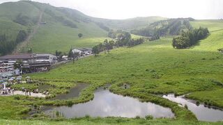 ホオアカが見られました。