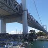 田の浦港付近からは瀬戸大橋を真上に見上げることが出来ます