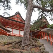 日本の夜を護る由緒正しき神社