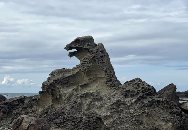 今まで見たゴジラ岩の中で一番ゴジラっぽかったです。