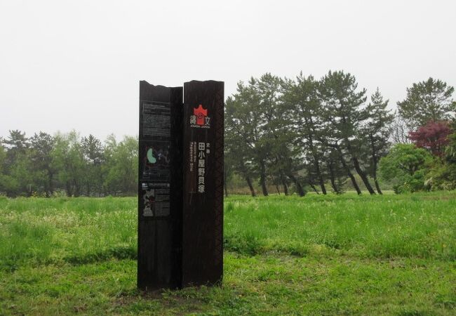 田小屋野貝塚遺跡