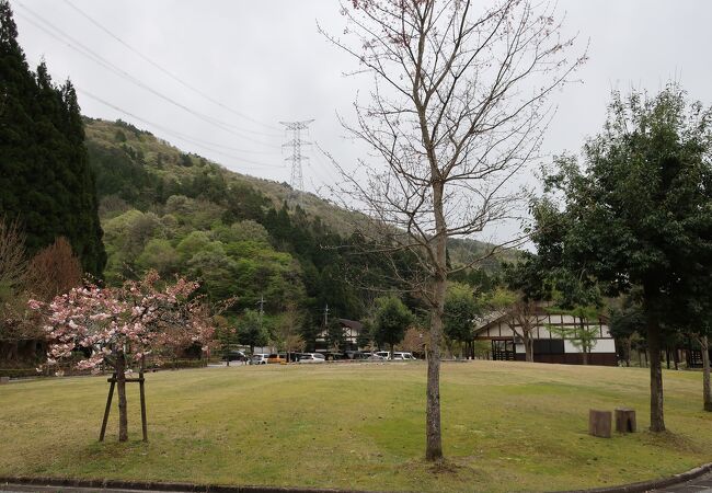 高山キャンプ場