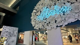 １階だけがオープンで、まだちょっと寂しい雰囲気