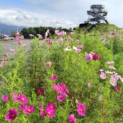 秋晴れの清々しい景色