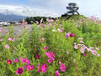 ふじのくに田子の浦みなと公園