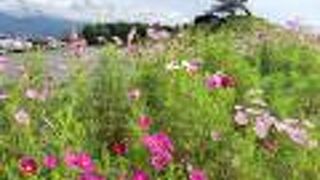 ふじのくに田子の浦みなと公園