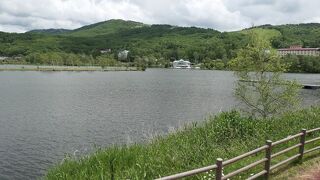 白樺湖周辺のレンゲツツジは少ない