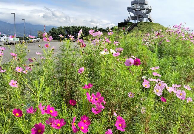 秋晴れの清々しい景色