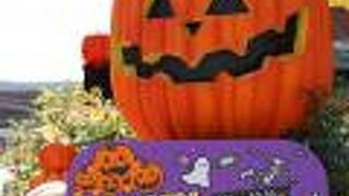 ハローウィンがかわいい！