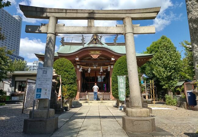 白鬚神社