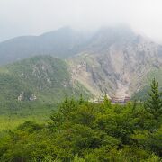 桜島の火口近く