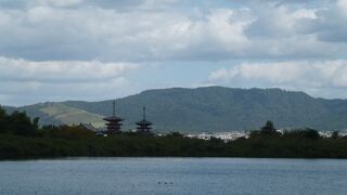 薬師寺撮影のスポット