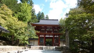 緑に囲まれた美しいお寺