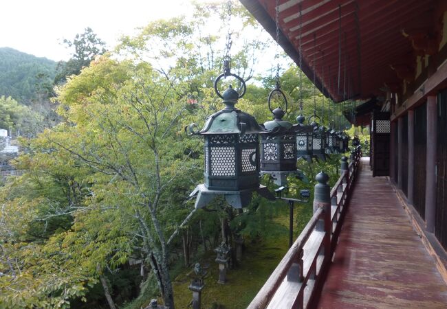 緑に抱かれた神社