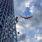 Σ(ﾟ∀ﾟ;)// スカイツリーに大迫力の絶滅動物ＡＲが出現！『XR City - LOST ANIMAL PLANET（ロストアニマルプラネット）』原寸大の３Ｄ恐竜が動きまわる