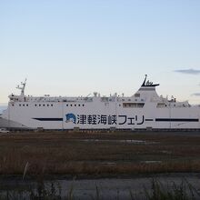 真横から眺める内海造船製８８２０トンの「ブルーマーメイド」