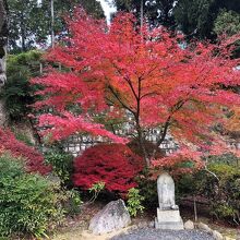 《常楽寺》紅葉