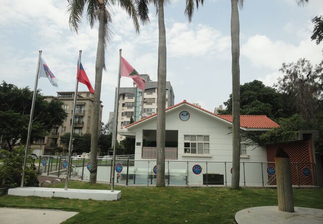 中華民國空軍秘密偵察部隊（通称、黒蜥蜴中隊）