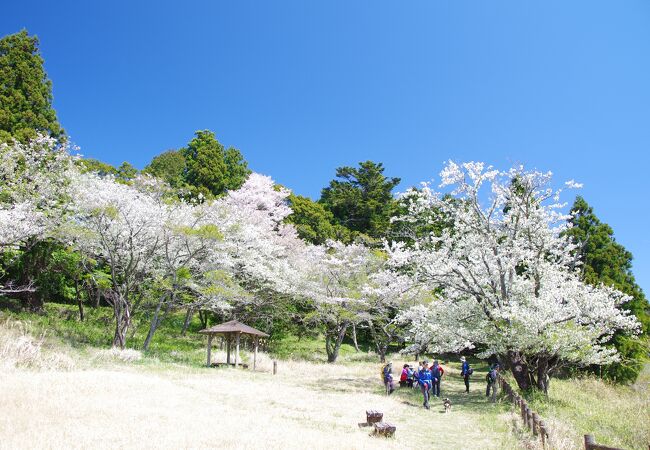 居心地良い山頂