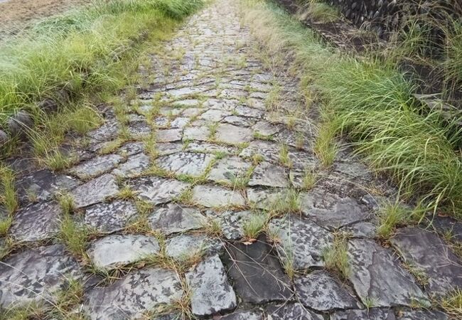 木曽川笠松渡船場跡 石畳