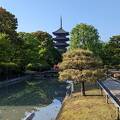 東寺を楽しむ