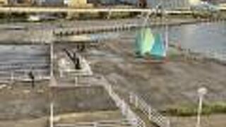 ふれあいイカ広場