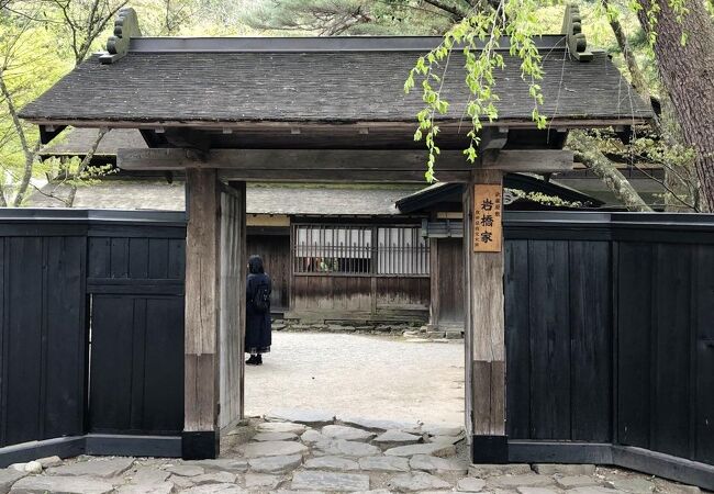 江戸時代の中級武士の住宅として、無料で一般公開されています。シンボルのカシワの木にパワーをもらいました。