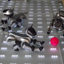 アイボがこんな所に