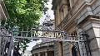 国立自然史博物館