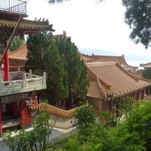 高台から見下ろす日月潭