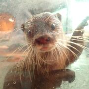 のんびりゆったり動物とふれ合える動物園