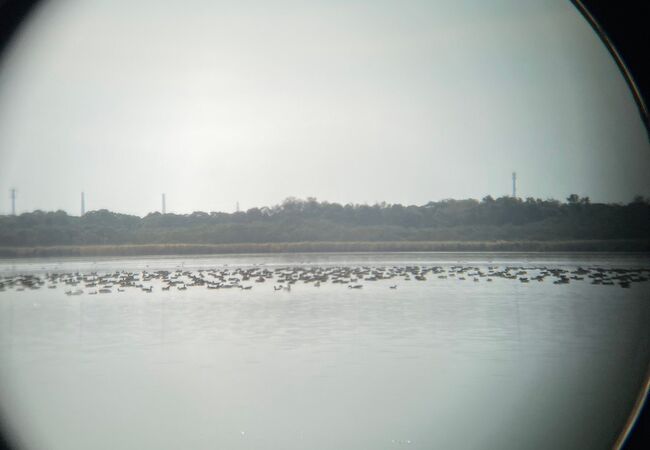 ウトナイ湖